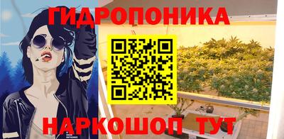 гидропоника Камышлов