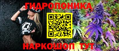 гидропоника Камышлов