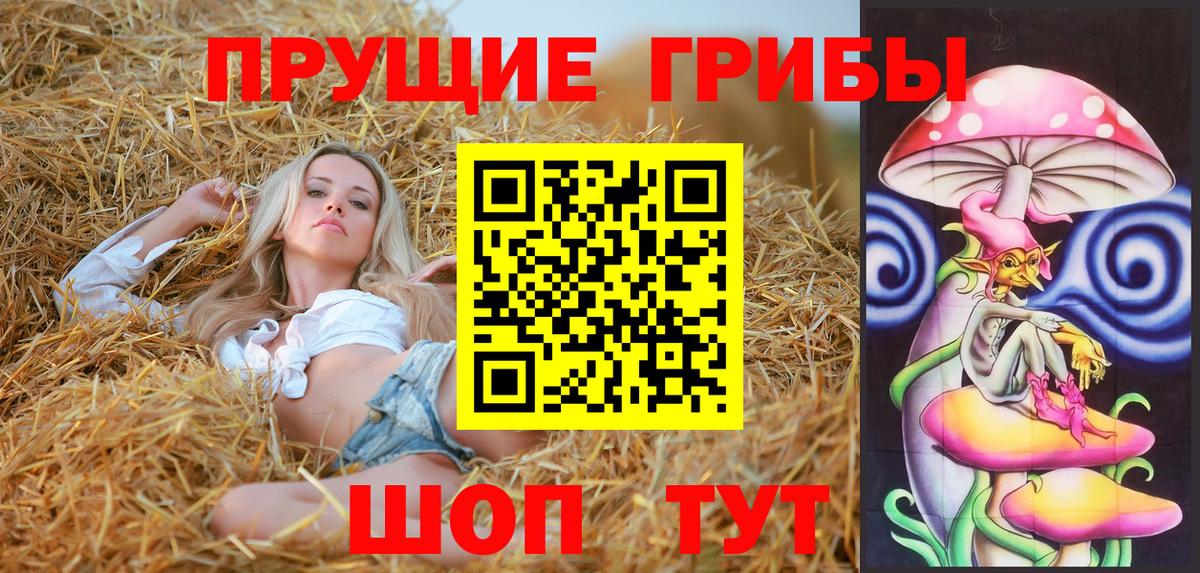 Псилоцибиновые грибы мицелий Лабинск