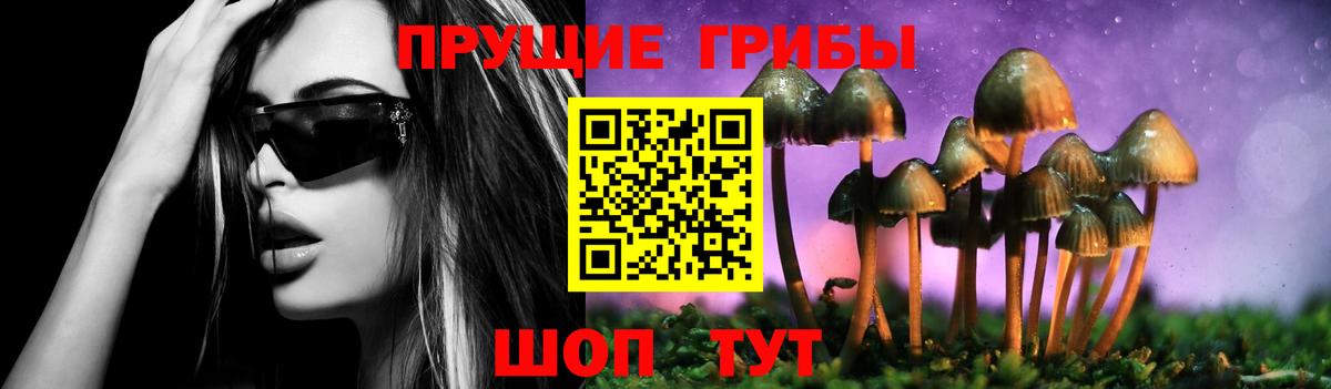 Псилоцибиновые грибы MAGIC MUSHROOMS  Вход с VPN  Лабинск  Галлюциногенные грибы ЛСД 